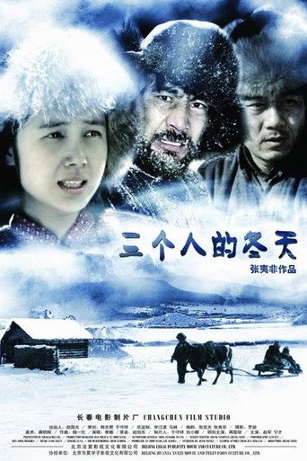 三個人的冬天海報