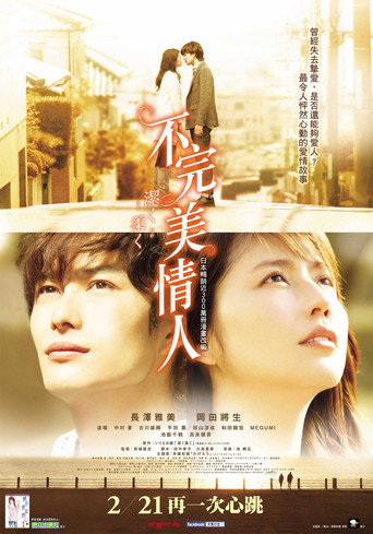 不完美情人海報