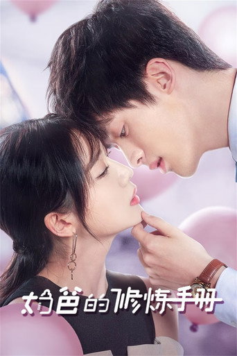 奶爸的修煉手冊海報