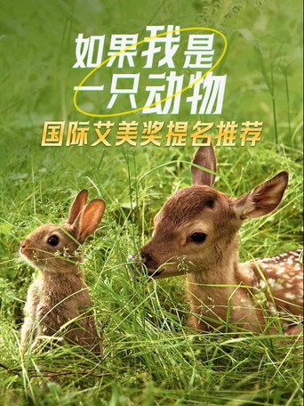 如果我是一隻動物海報
