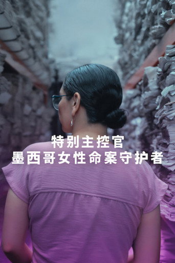 特別主控官：墨西哥女性命案守護者海報