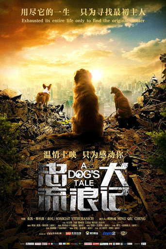 忠犬流浪記海報