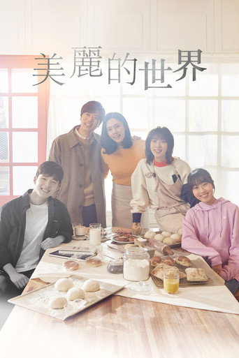 美麗的世界海報