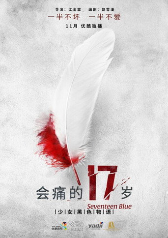 會痛的17歲海報