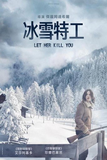 冰雪特工海報