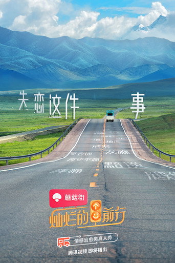 燦爛的前行海報