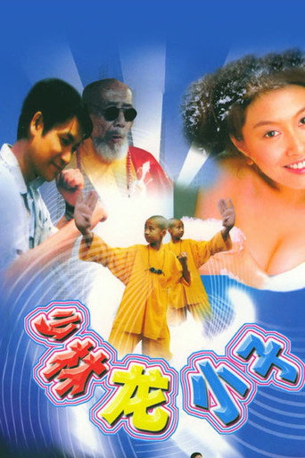 少林龍小子海報