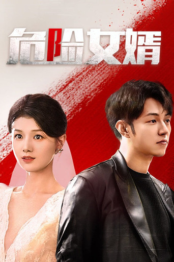 危險女婿海報