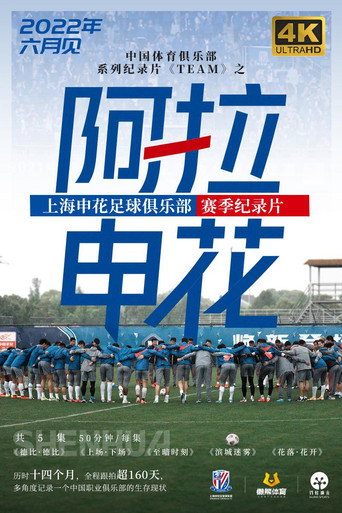 阿拉申花海報
