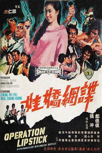 諜網嬌娃海報