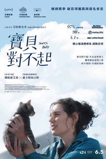 對不起,寶貝海報
