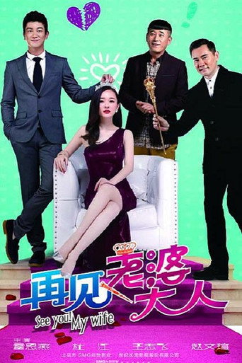再見老婆大人海報