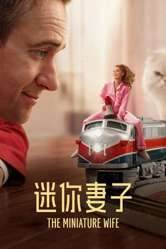 迷你妻子海報
