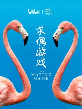 求偶遊戲海報