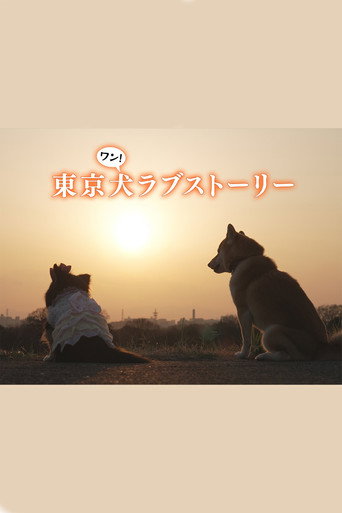 東京狗愛情故事海報