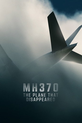 MH370:消失的馬航客機海報