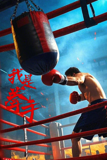我是拳手海報