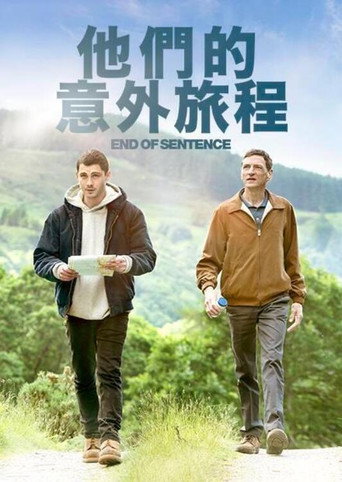 他們的意外旅程海報