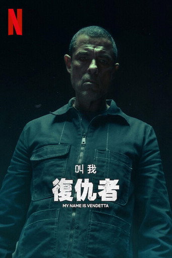 叫我復仇者海報
