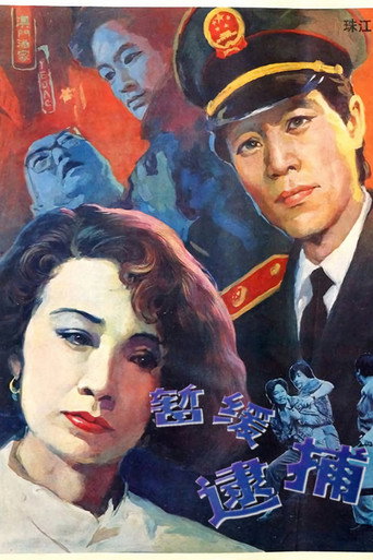 暫緩逮捕海報