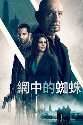 網中的蜘蛛海報