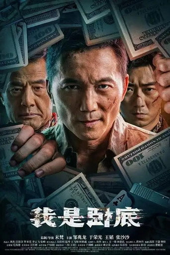 我是臥底海報