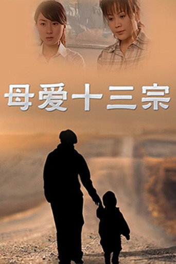 母愛十三宗海報