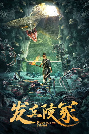 發丘陵冢海報