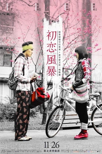 初戀風暴海報