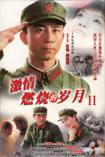 激情燃燒的歲月 激情燃燒的歲月2海報
