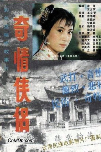 奇情俠侶海報