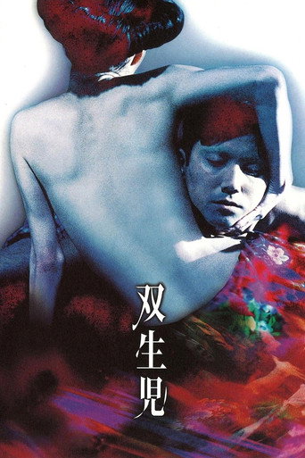 雙生兒海報