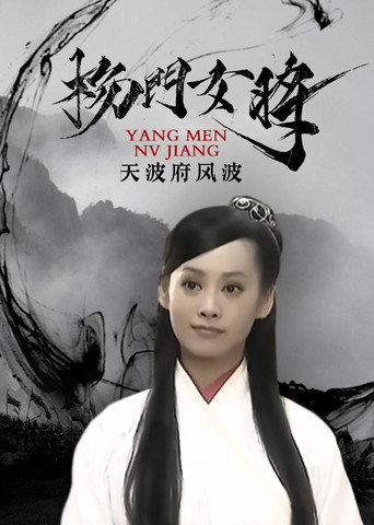 楊門女將之天波府風波海報
