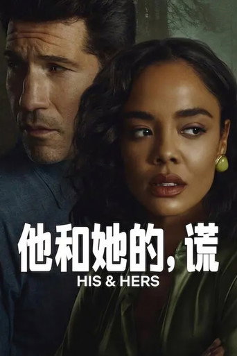 他和她的,謊海報