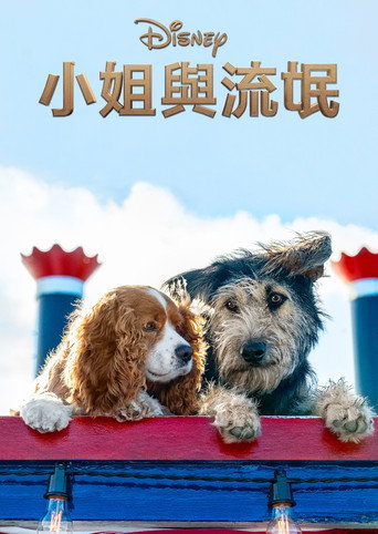 小姐與流氓海報
