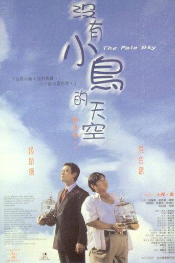 沒有小鳥的天空海報