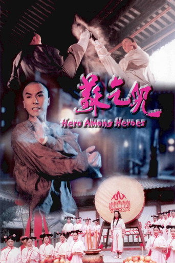蘇乞兒海報