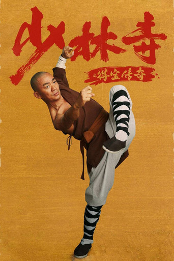 少林寺之得寶傳奇海報