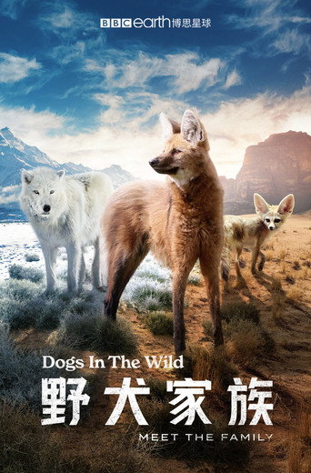 野犬家族海報