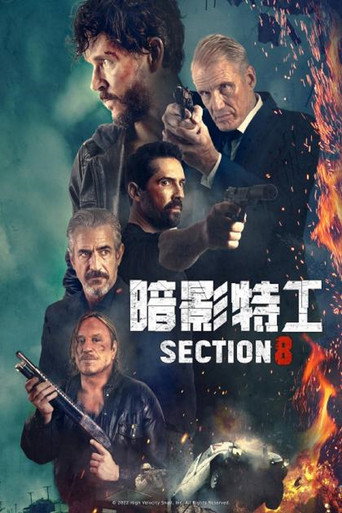 暗影特工海報