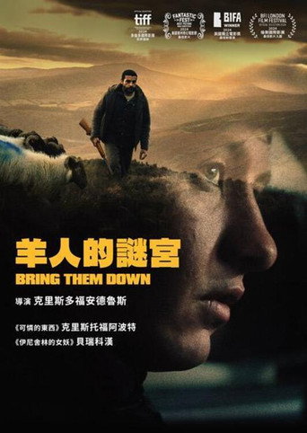 羊人的謎宮海報