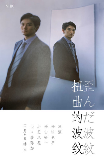 虛假的共犯海報