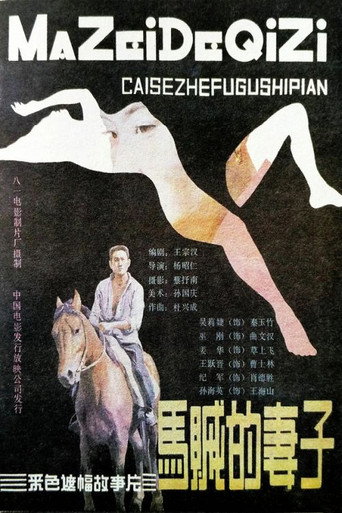 馬賊的妻子海報