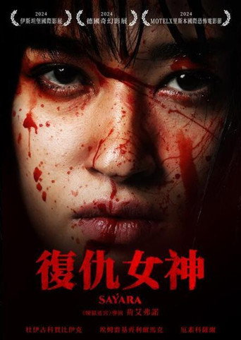 復仇女神海報