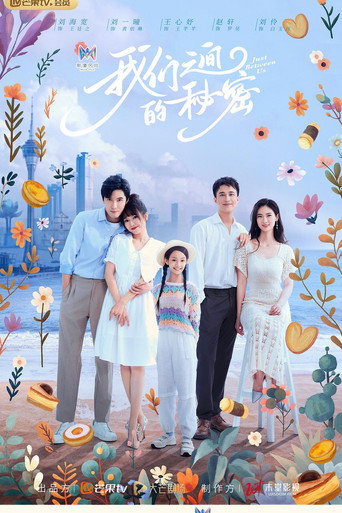 我們之間的秘密海報