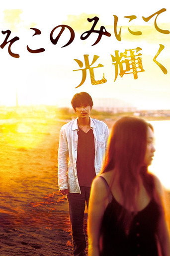陽光只在那裡燦爛海報