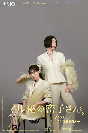 絕密的密子小姐海報