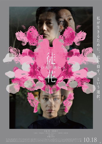 謊花海報