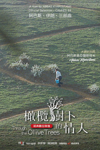 橄欖樹下的情人海報