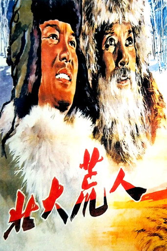 北大荒人海報